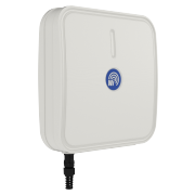 PTP/client antenna