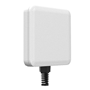 PTP/client antenna